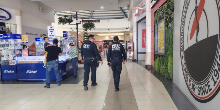COLABORA POLICÍA ESTATAL CON PRESENCIA EN COMERCIOS DE SONORA DURANTE EL BUEN FIN
