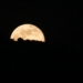 SUPERLUNA, MERCURIO Y LLUVIA DE METEORITOS: LOS FENÓMENOS ASTRONÓMICOS VISIBLES DE DICIEMBRE 2025