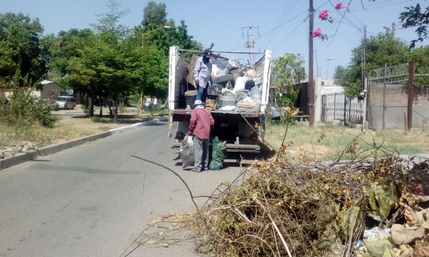 REDUCEN EN CAJEME RIESGO DE ENFERMEDADES TRANSMITIDAS POR VECTOR A TRAVÉS DEL PROGRAMA DE DESCACHARRIZACIÓN