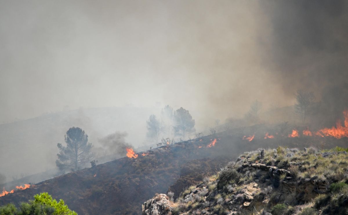 INCENDIO AL SURESTE DE ESPAÑA DEJA 12 MUERTOS Y 23 DESAPARECIDOS