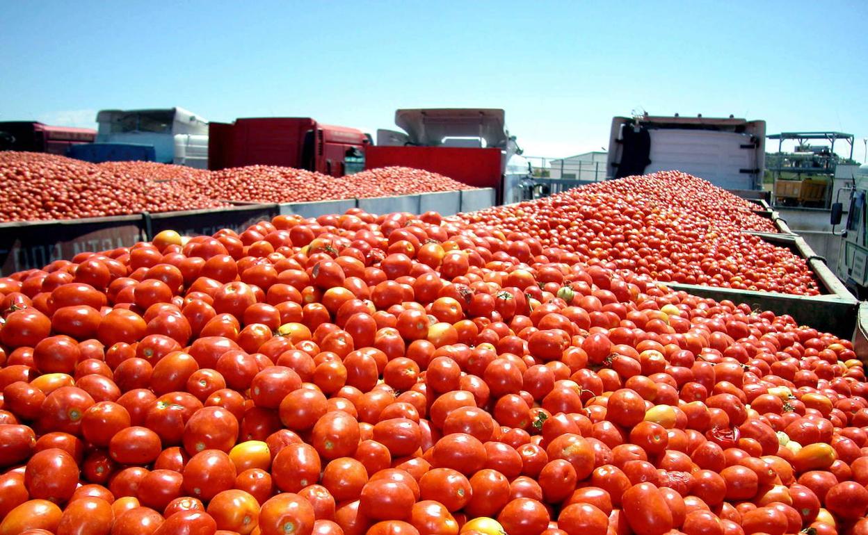 BAJA LA INFLACIÓN A 3.4%, PERO PAPA Y JITOMATE SIGUEN GOLPEANDO EL BOLSILLO; TUBÉRCULO SE DISPARA 66.7%